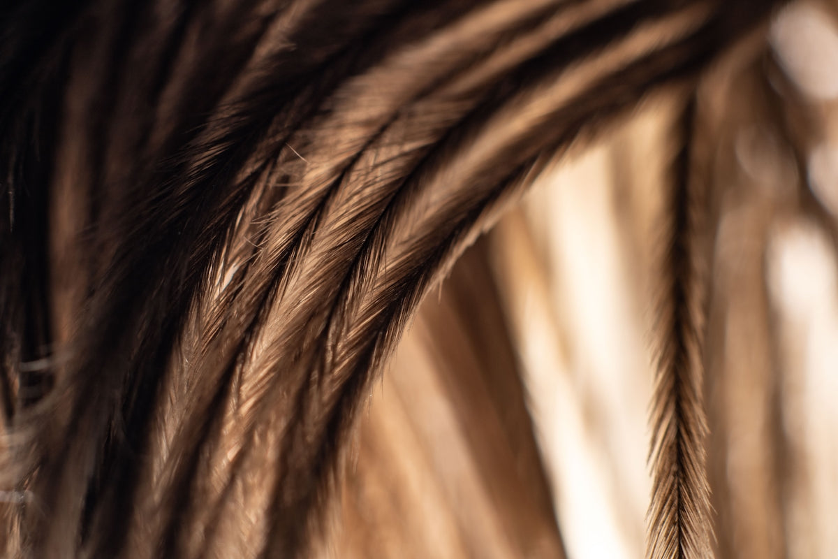 close up of a person's hair