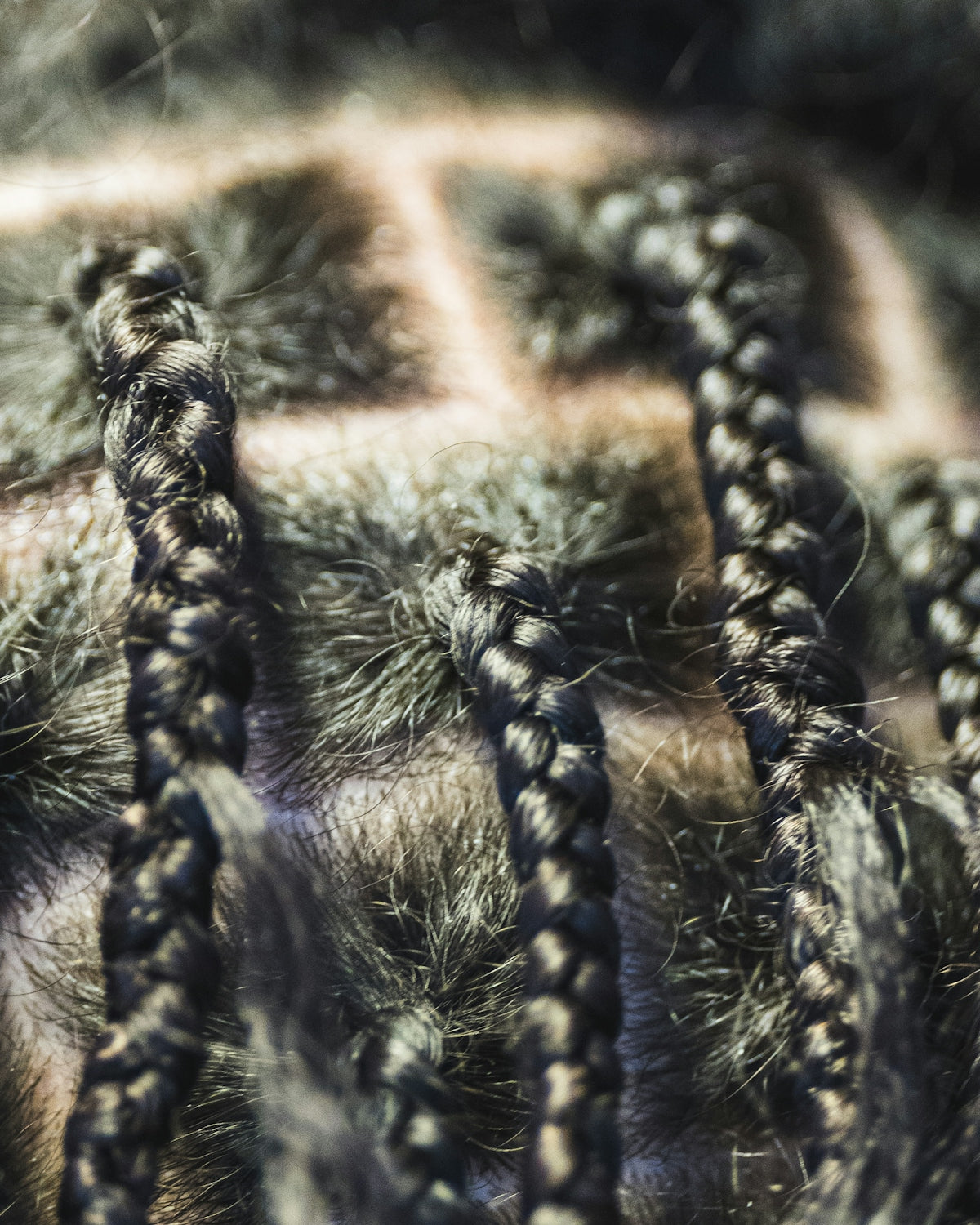 Close-up of braided dark hair with scalp visible.